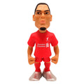 Minix Van Dijk Liverpool