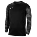 Nike Kids Dry Park IV Goalkeeper Jersey
